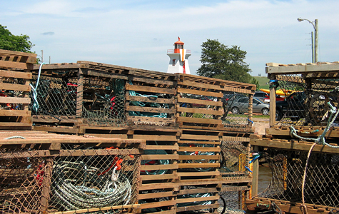 Lobster Traps