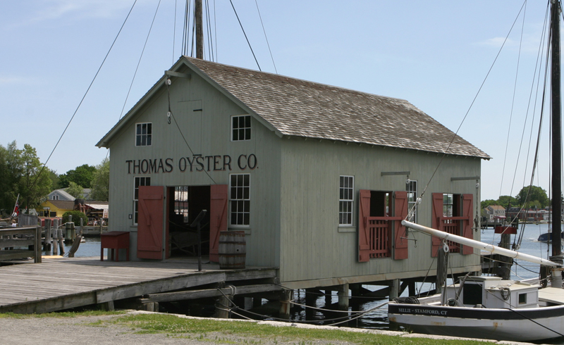 Thomas Oyster Company - prototype